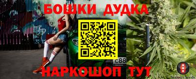сатива Малгобек