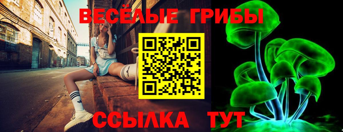 Хасавюрт  Псилоцибиновые грибы ЛСД  Вход с VPN 